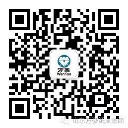 大江最新网页登录